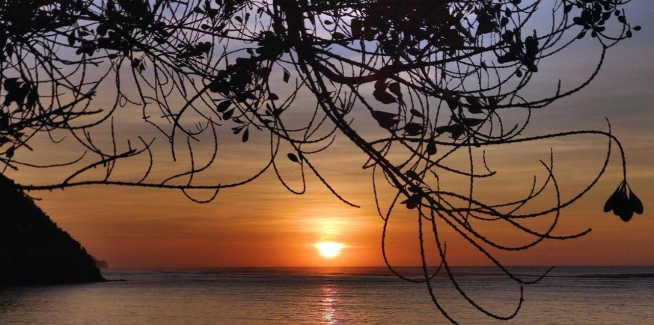 Firesky Glamping Ocam Ocam Beach New Busuanga Extérieur photo
