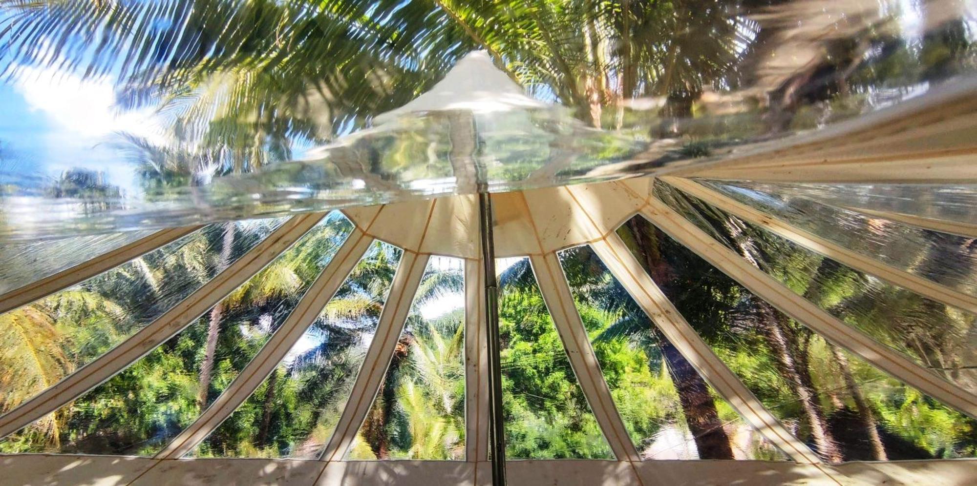 Firesky Glamping Ocam Ocam Beach New Busuanga Extérieur photo